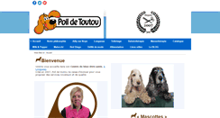 Desktop Screenshot of poildetoutou.com